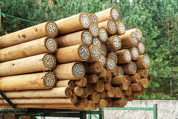 eucalipto trtado eucalipto trtado