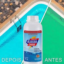 algicida manutenÇÃo 01lt algicida manutenÇÃo 01lt