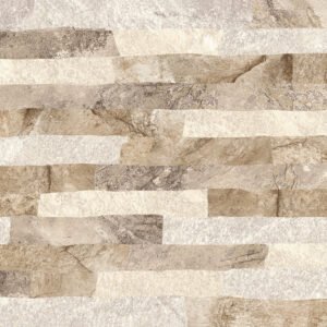 REV HD 53/1096 CANJIQUINHA 60