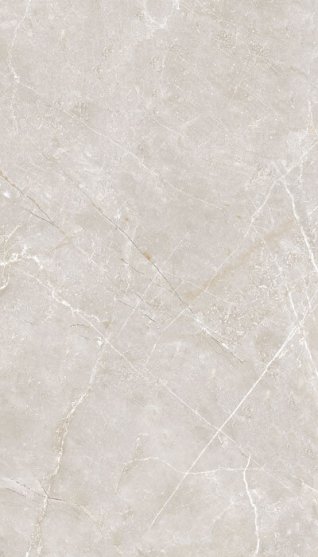 rev 31142 silver rev 31142 silver