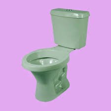 bacia com caixa acoplar verde – sta clara