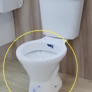 bacia com caixa acoplar branco – sta clara